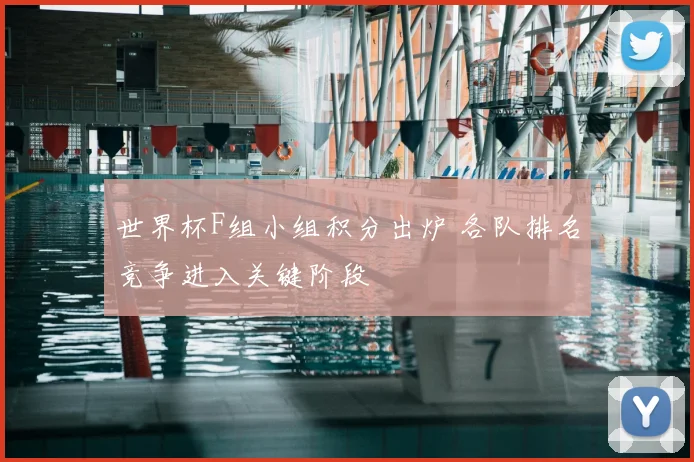 世界杯F组小组积分出炉 各队排名竞争进入关键阶段