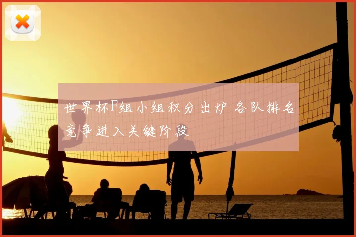 世界杯F组小组积分出炉 各队排名竞争进入关键阶段