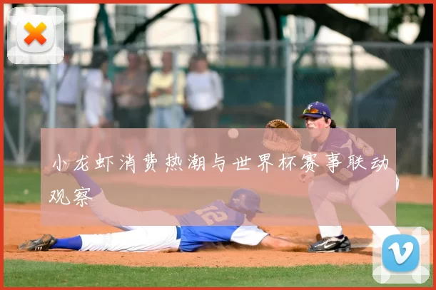 小龙虾消费热潮与世界杯赛事联动观察