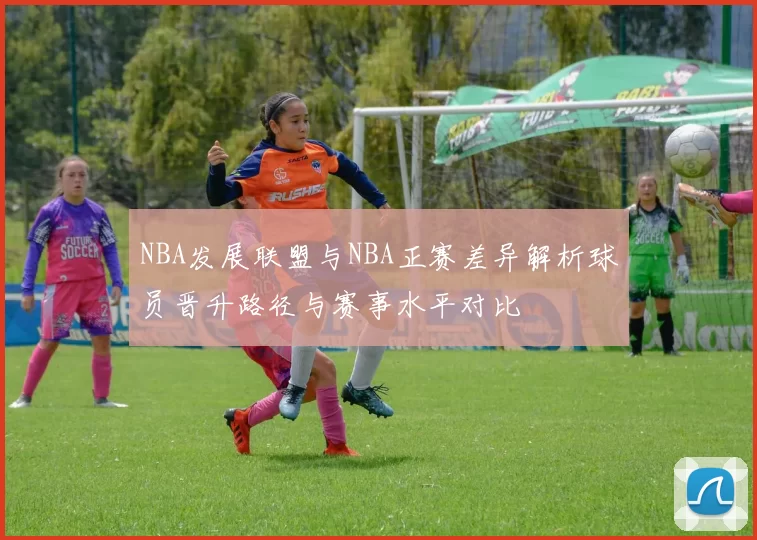 NBA发展联盟与NBA正赛差异解析球员晋升路径与赛事水平对比